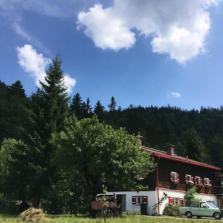 Gatterl Zum See Reit im Winkl Kültér fotó