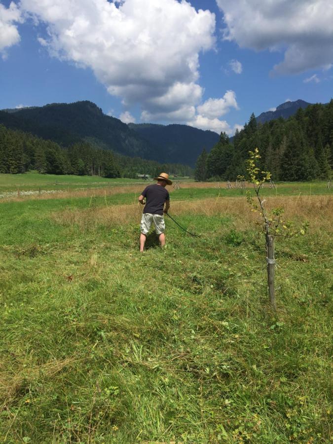 Gatterl Zum See Reit im Winkl Kültér fotó
