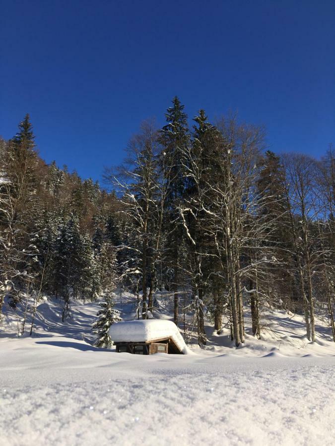 Gatterl Zum See Reit im Winkl Kültér fotó